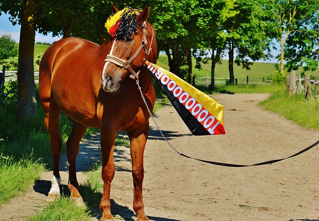 一股鼓舞人 一股鼓舞人