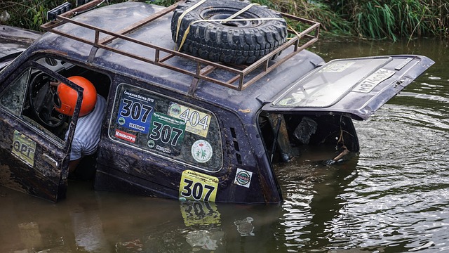 释了这些特 释了这些特