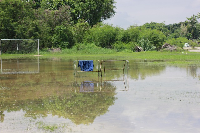 经过国际社 经过国际社