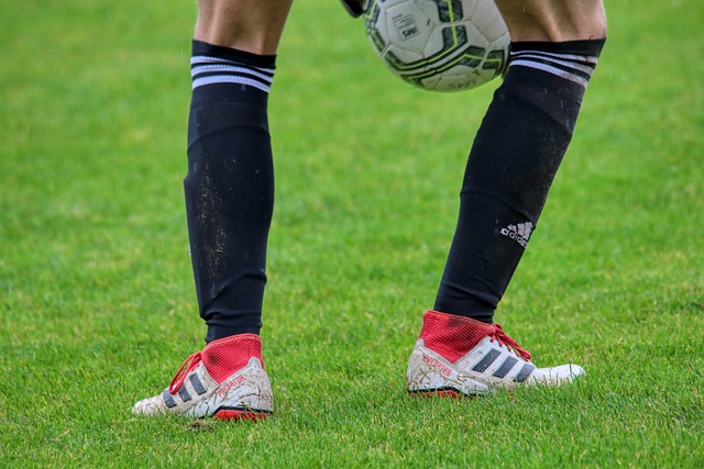 的心理状态 的心理状态