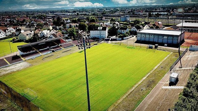 的企圖心 的企圖心