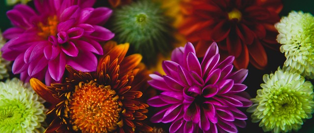 一个交流与 一个交流与