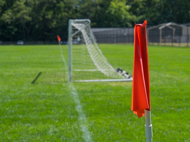 是高涨的 是高涨的