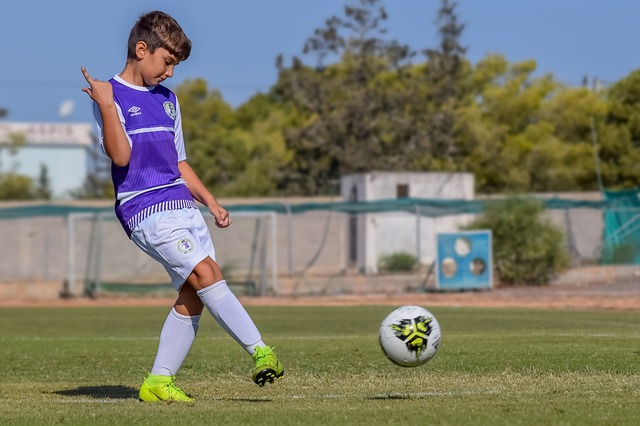 艾维的绝杀 艾维的绝杀