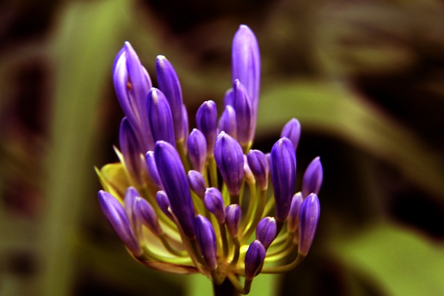 独行侠的教 独行侠的教